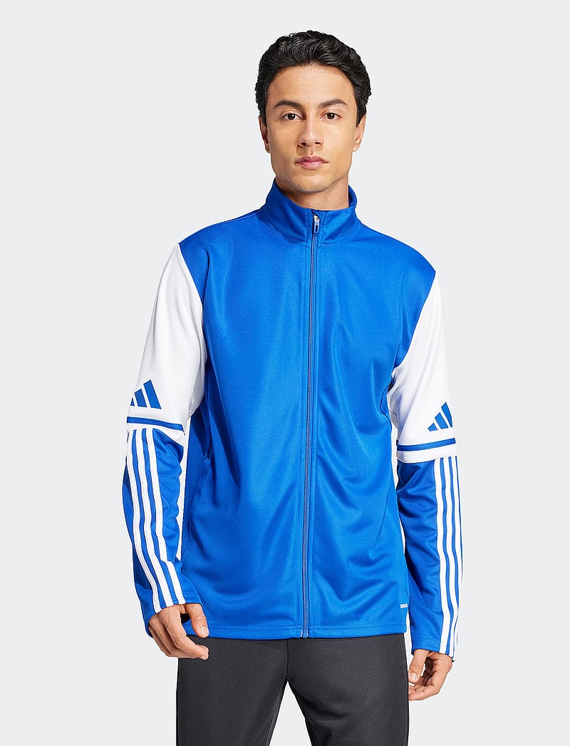 adidas Performance - SQ25 TR JKT - sportjacken - royblu/white - 0