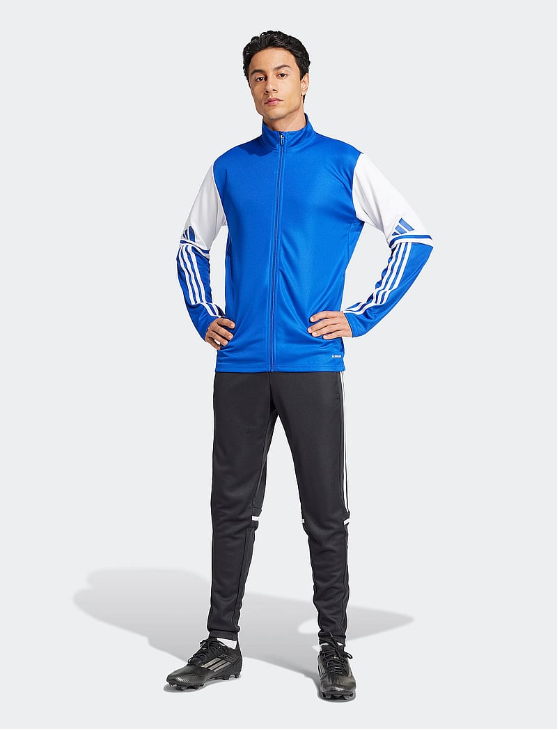 adidas Performance - SQ25 TR JKT - sportjacken - royblu/white - 3