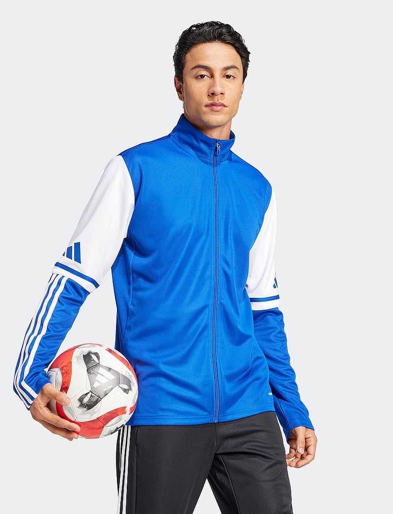 adidas Performance - SQ25 TR JKT - sportjacken - royblu/white - 5
