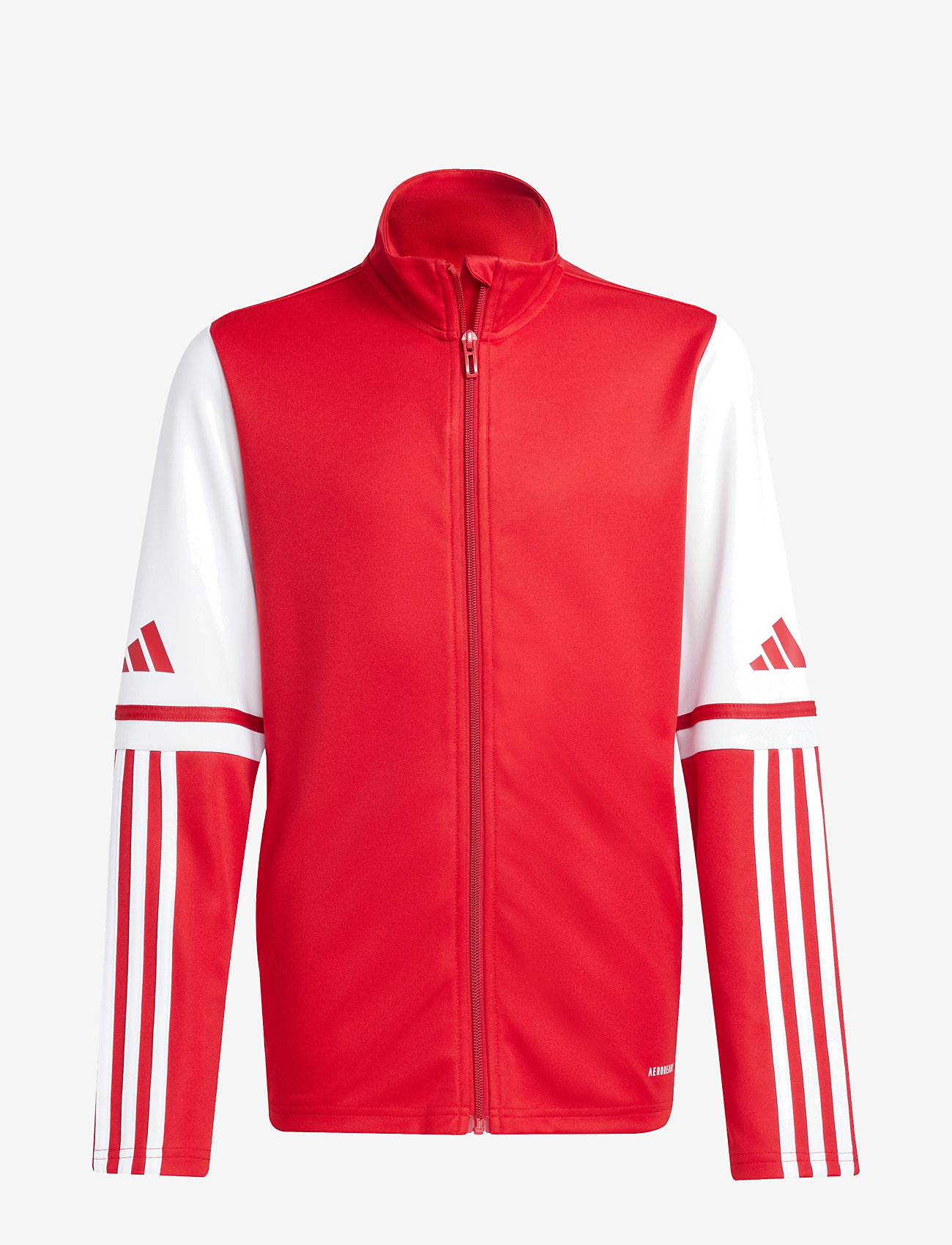 adidas Performance - SQ25 TR JKT Y - sweats - tepore/white - 1