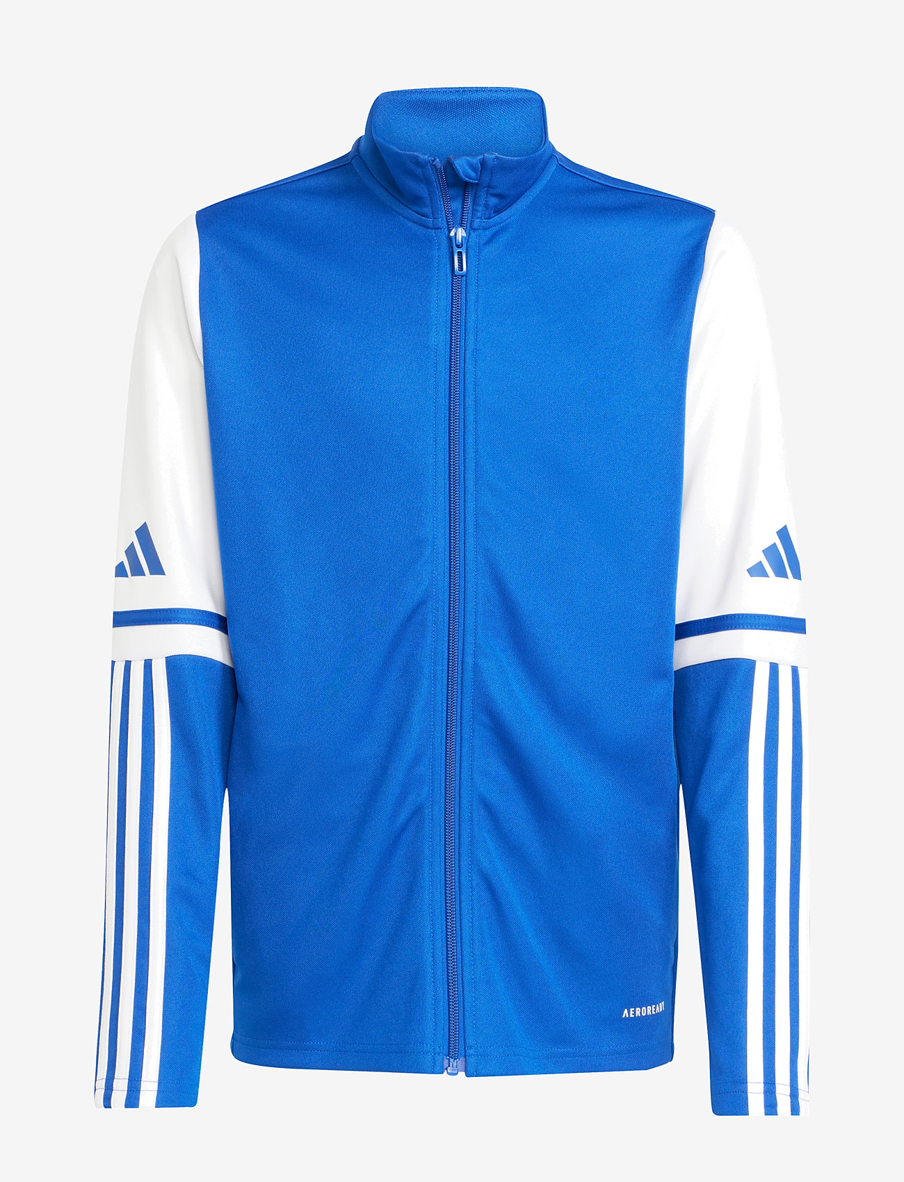 adidas Performance - SQ25 TR JKT Y - dressipluusid - royblu/white - 1