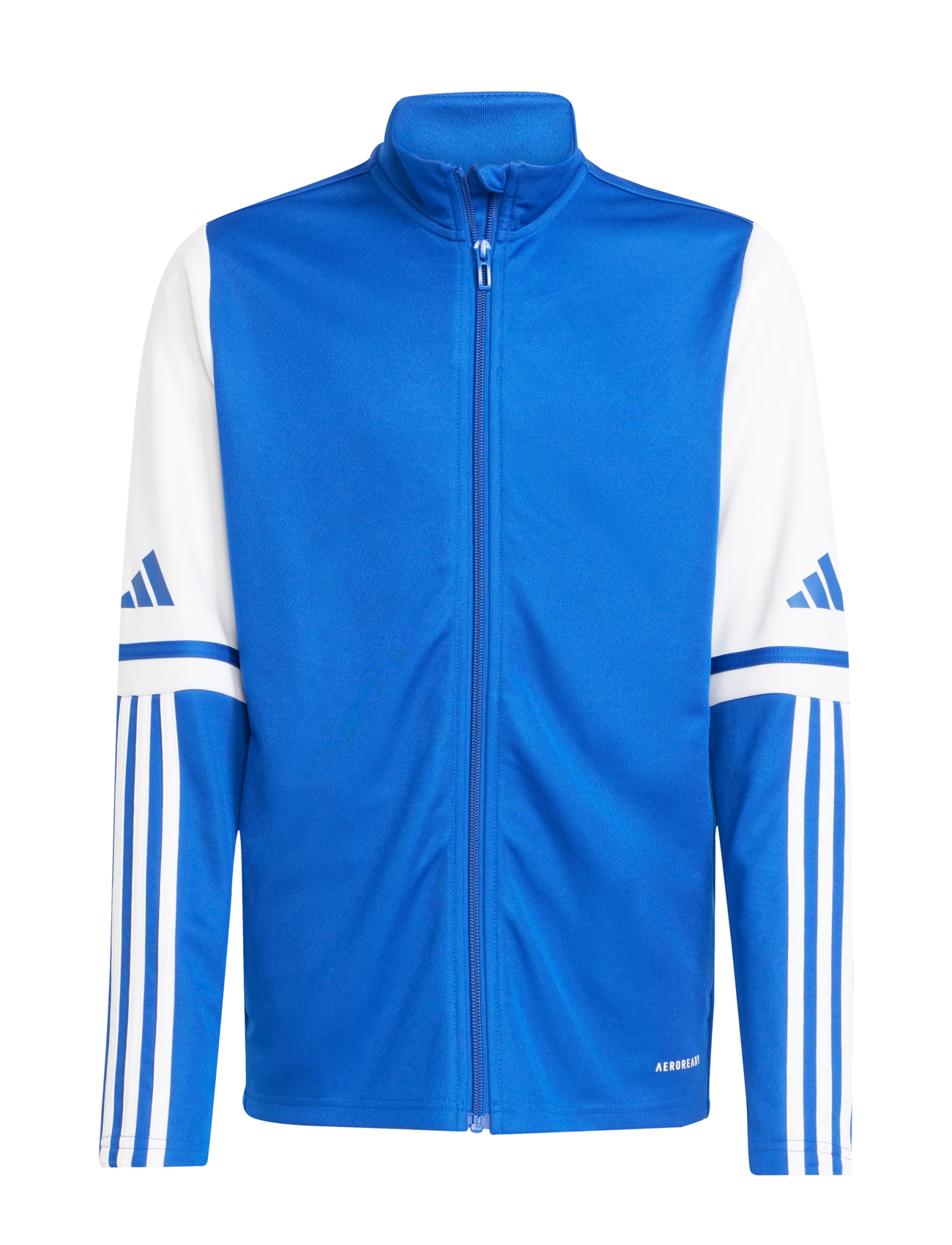 adidas Performance SQ25 TR JKT Y - Sweatshirts - ROYBLU/WHITE / blue