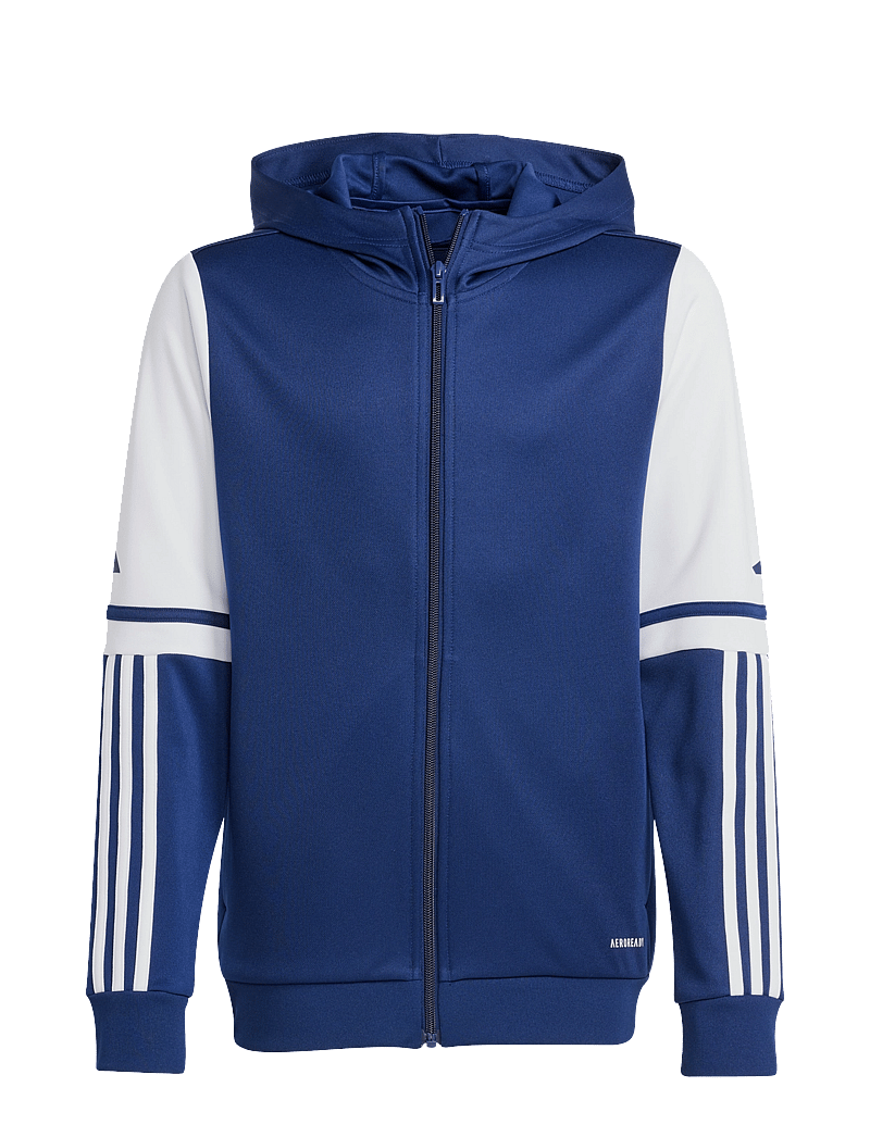 adidas Performance - SQ25 HOOD Y - džemperi ar kapuci - tenabl/white - 1