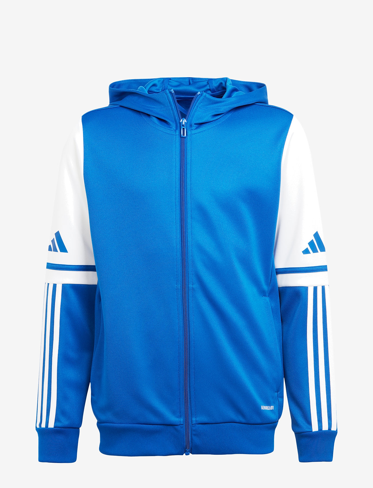 adidas Performance - SQ25 HOOD Y - kapuzenpullover - royblu/white - 1