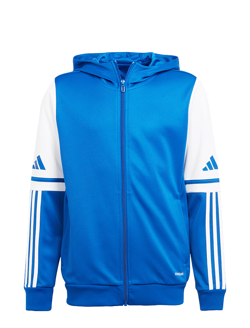 adidas Performance - SQ25 HOOD Y - džemperi ar kapuci - royblu/white - 1