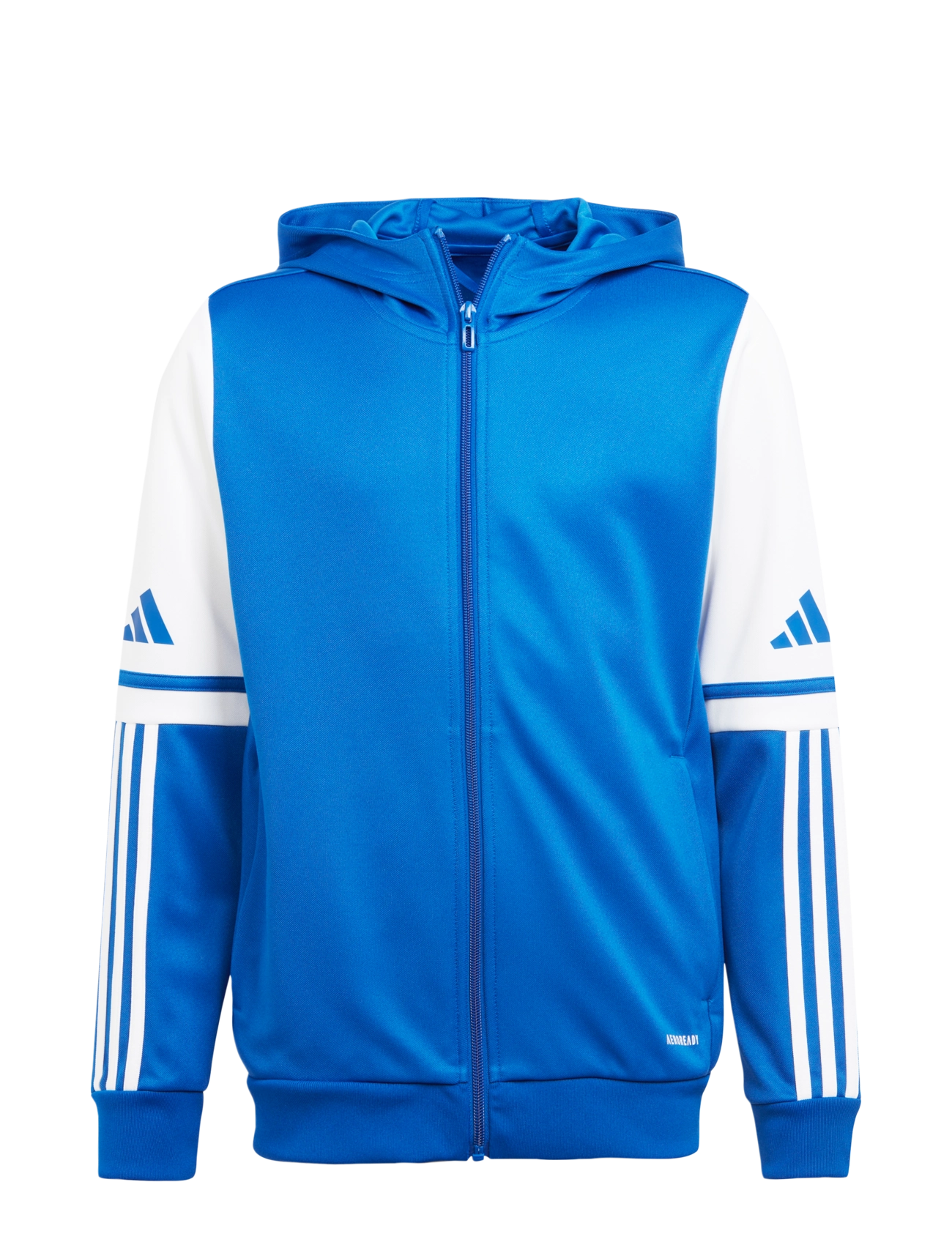 ROYBLU/WHITE