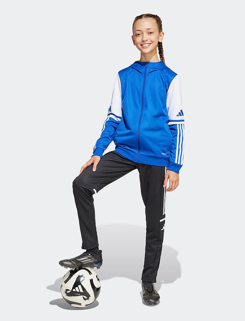 adidas Performance - SQ25 HOOD Y - džemperi ar kapuci - royblu/white - 0