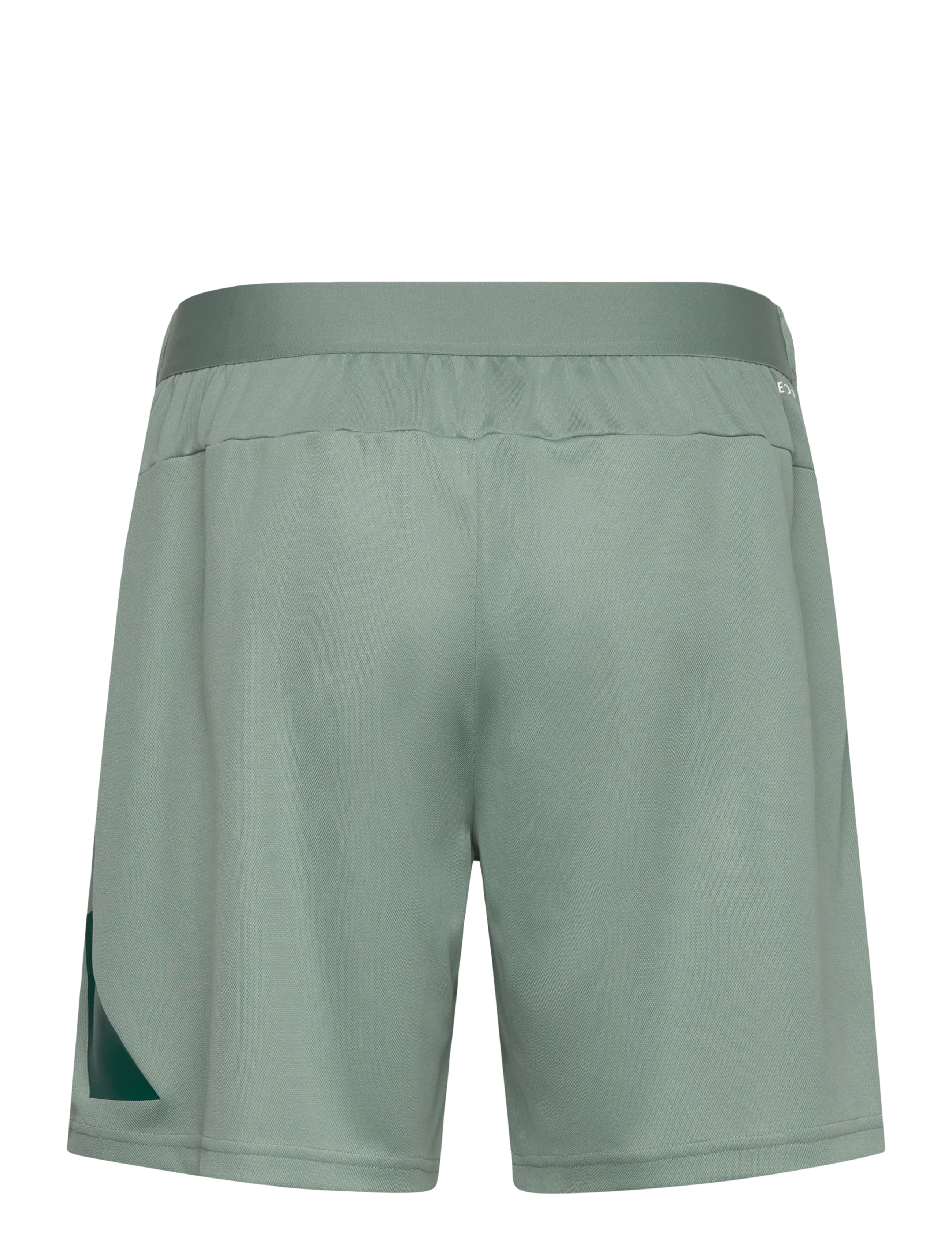 adidas Performance - TR-ES LOGO SHO - spodenki treningowe - silgrn/cgreen - 2