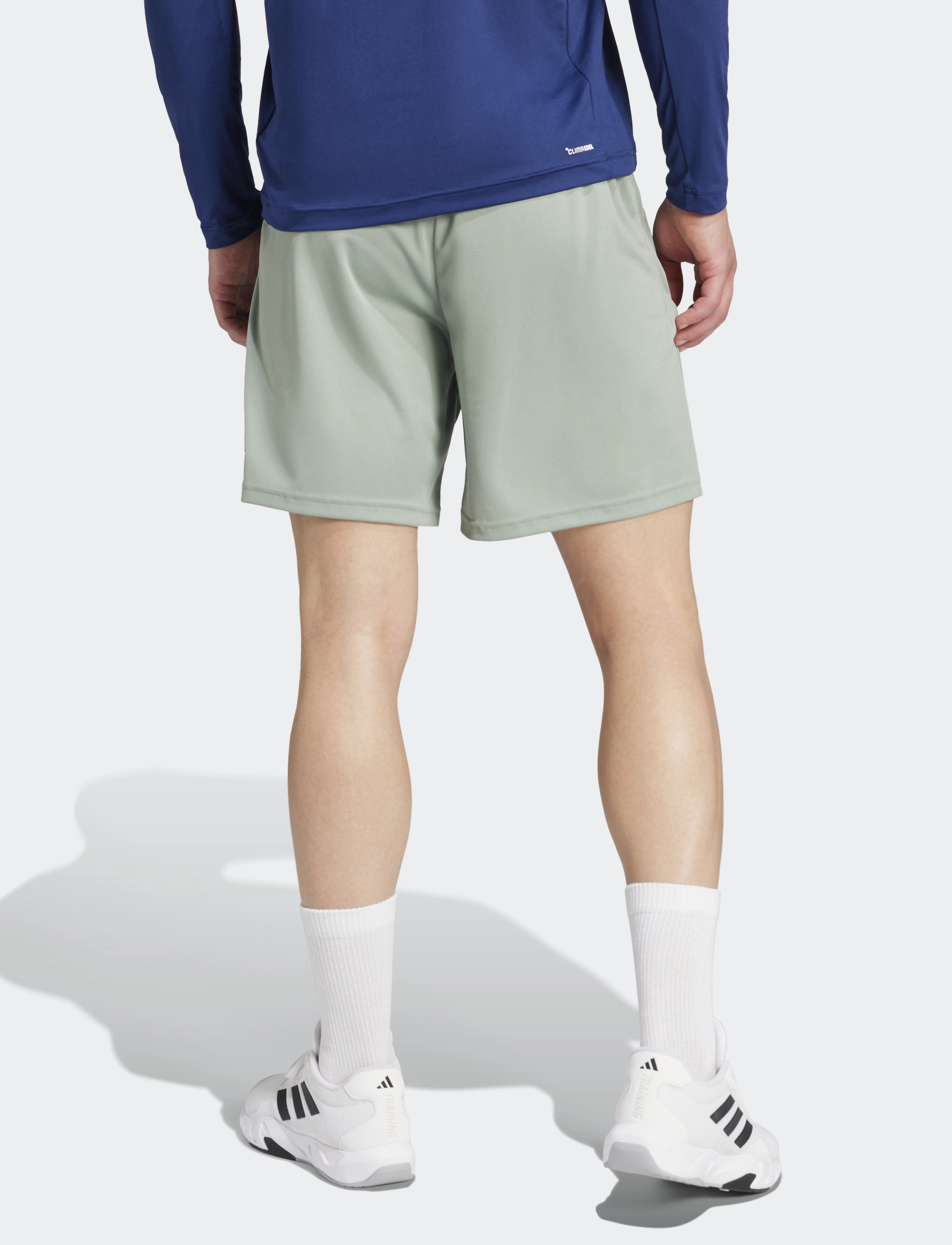 adidas Performance - TR-ES LOGO SHO - spodenki treningowe - silgrn/cgreen - 5