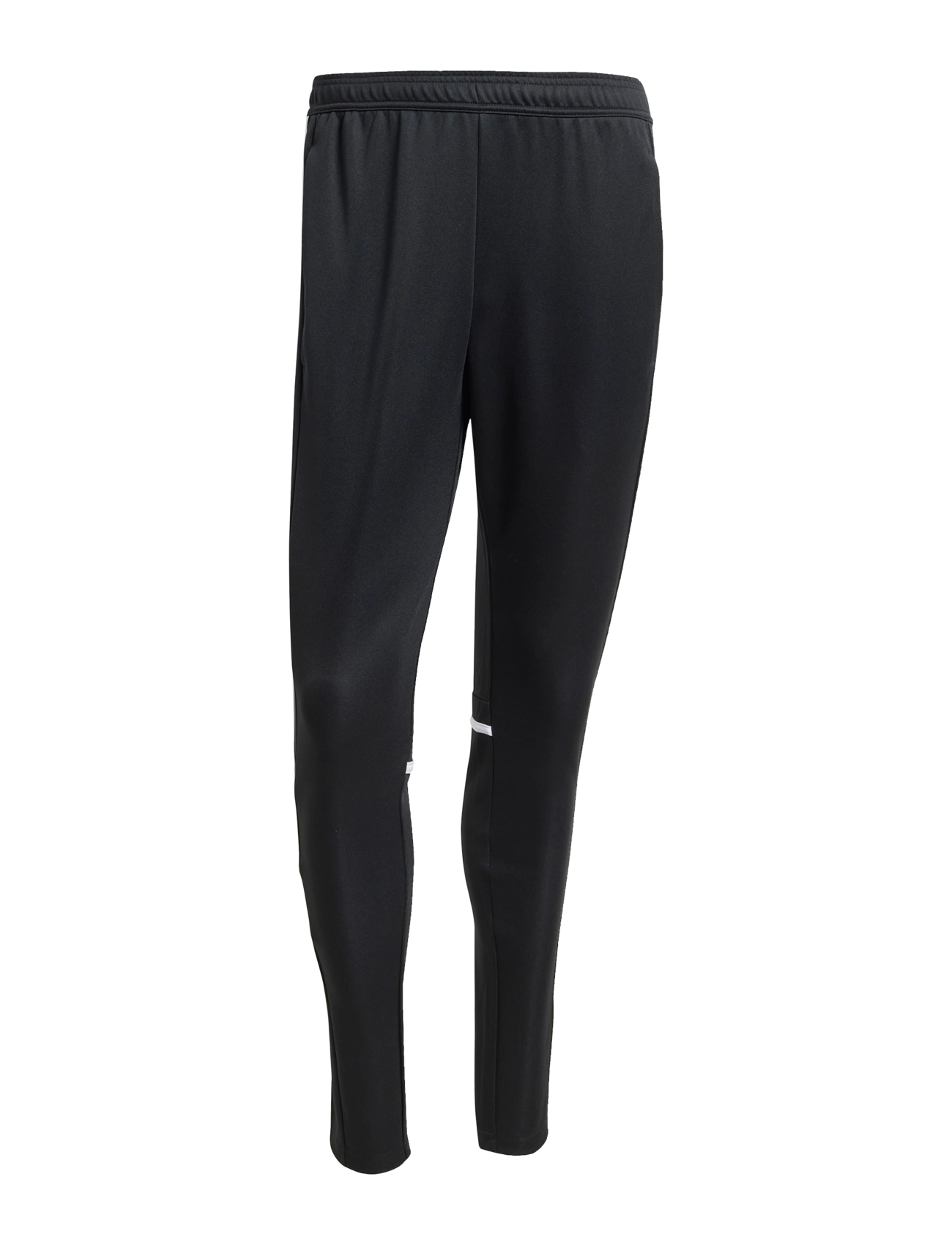 adidas Performance SQ25 TR PNT - adidas Performance - BLACK/WHITE / black