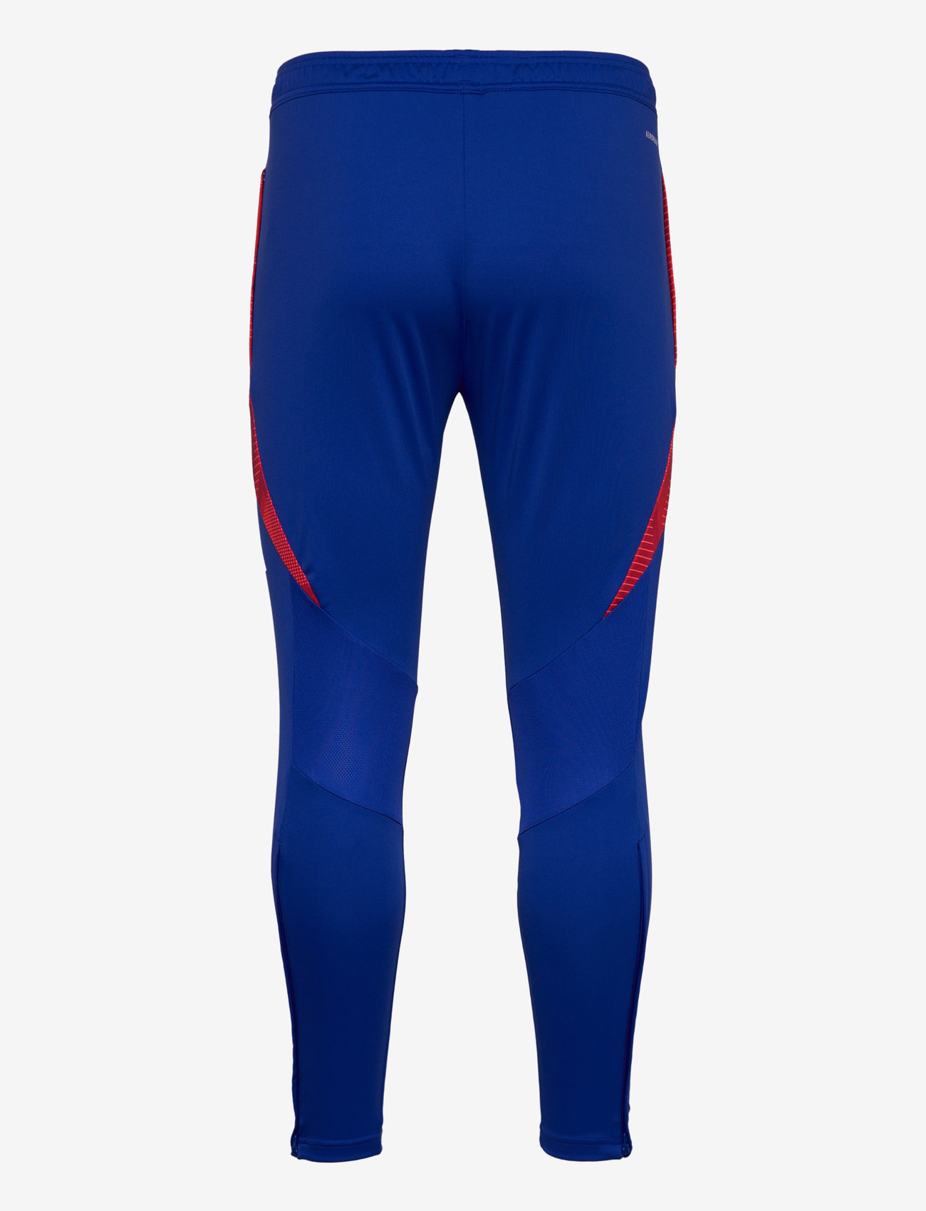 adidas Performance - TIRO24 C TR PNT - lucblu/white - 2