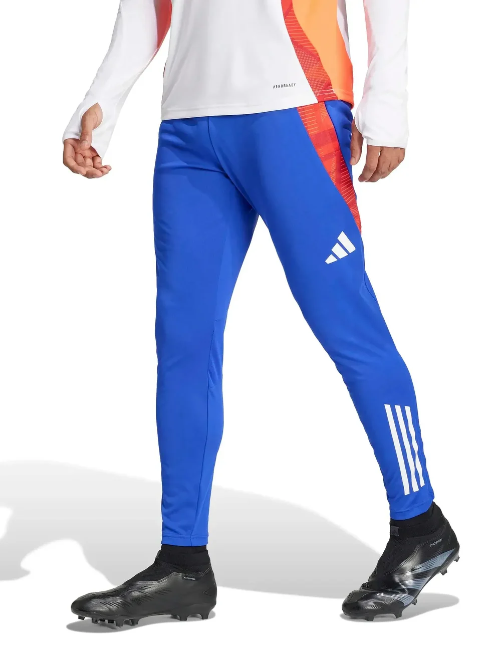 adidas Performance - TIRO24 C TR PNT - sportinės tamprės - lucblu/white - 0
