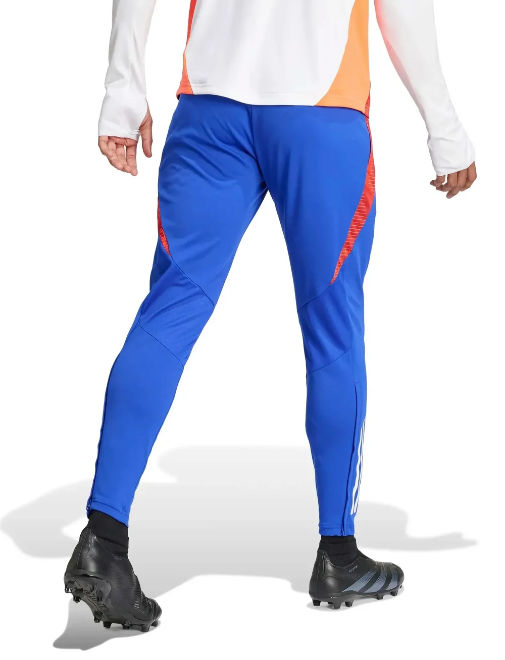 adidas Performance - TIRO24 C TR PNT - sportinės tamprės - lucblu/white - 3
