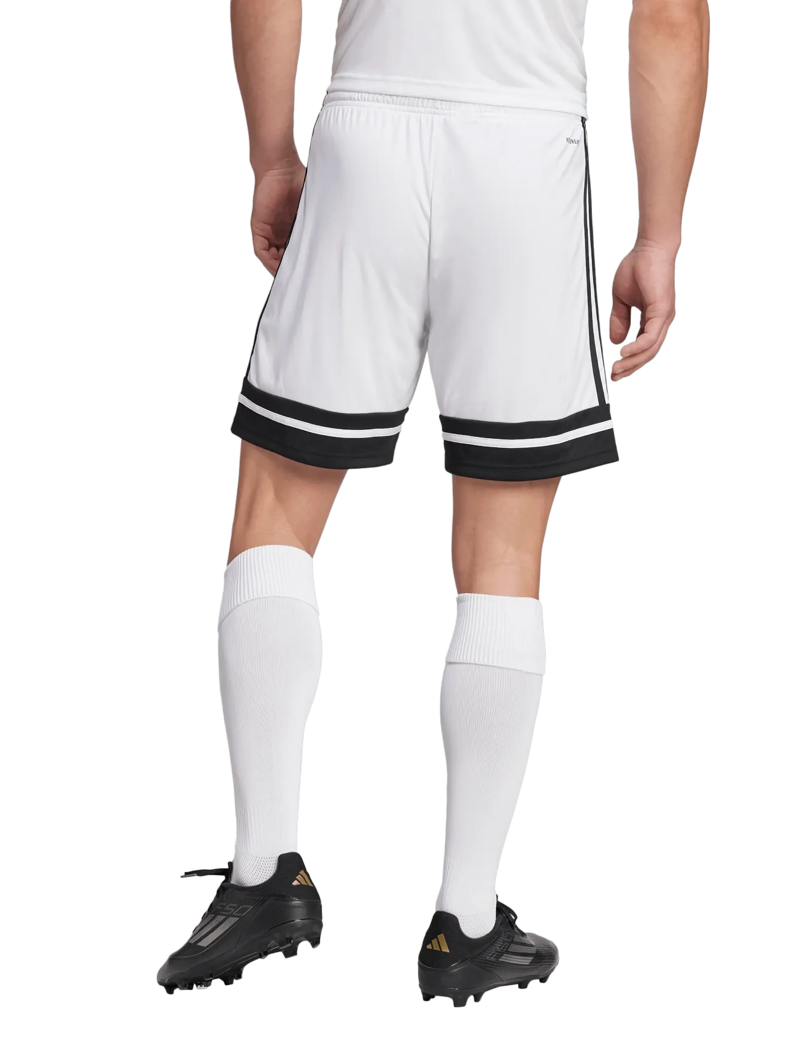 adidas Performance - SQUA25 SHO M - träningsshorts - white/black - 5