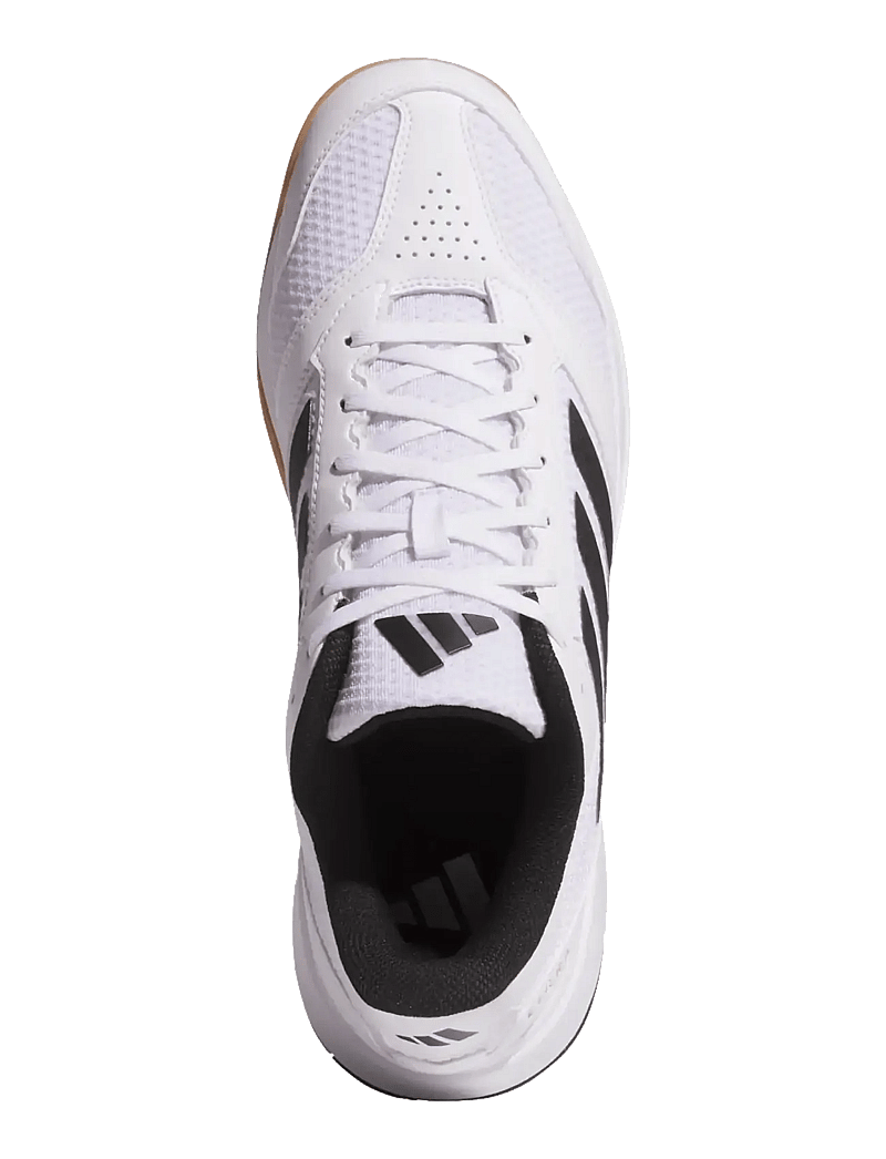 adidas Performance - Ligra 8 M - inomhusskor - ftwwht/cblack/ftwwht - 4