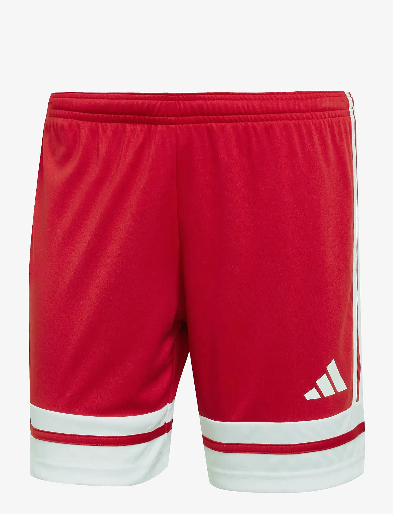 adidas Performance - SQUA25 SHO W - lühikesed treeningpüksid - tepore/white - 1