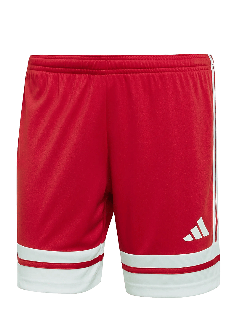 adidas Performance - SQUA25 SHO W - lühikesed treeningpüksid - tepore/white - 1