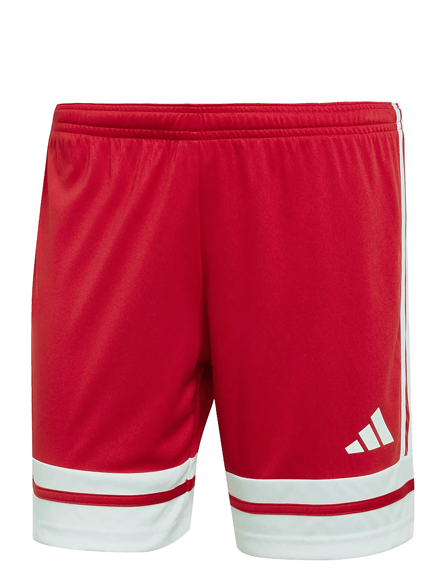 adidas Performance - SQUA25 SHO W - trainingsshorts - tepore/white - 1
