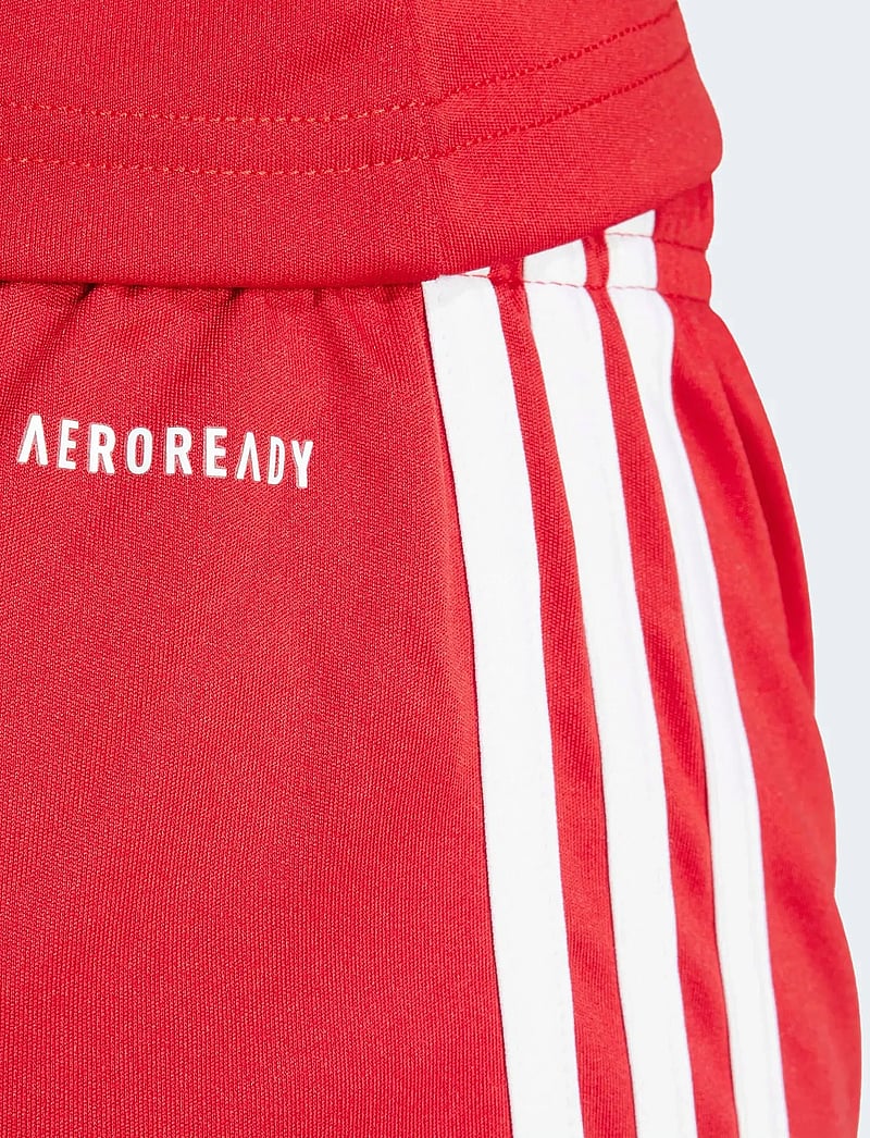 adidas Performance - SQUA25 SHO W - lühikesed treeningpüksid - tepore/white - 3