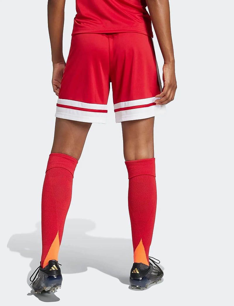 adidas Performance - SQUA25 SHO W - lühikesed treeningpüksid - tepore/white - 5