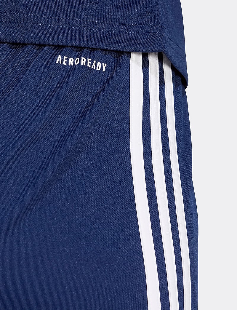 adidas Performance - SQUA25 SHO W - lühikesed treeningpüksid - tenabl/white - 2