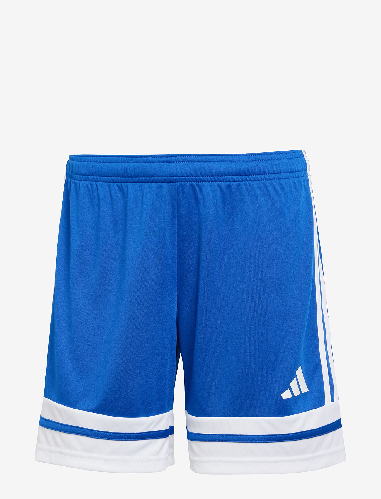 adidas Performance - SQUA25 SHO W - training shorts - royblu/white - 1
