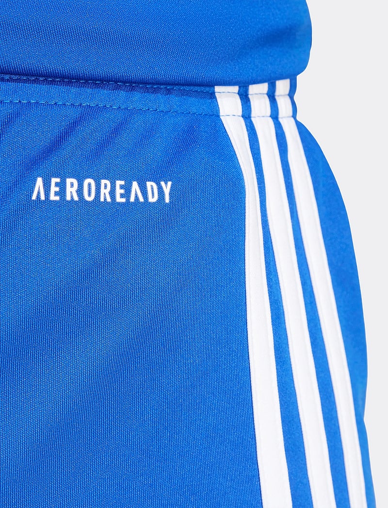 adidas Performance - SQUA25 SHO W - lühikesed treeningpüksid - royblu/white - 4