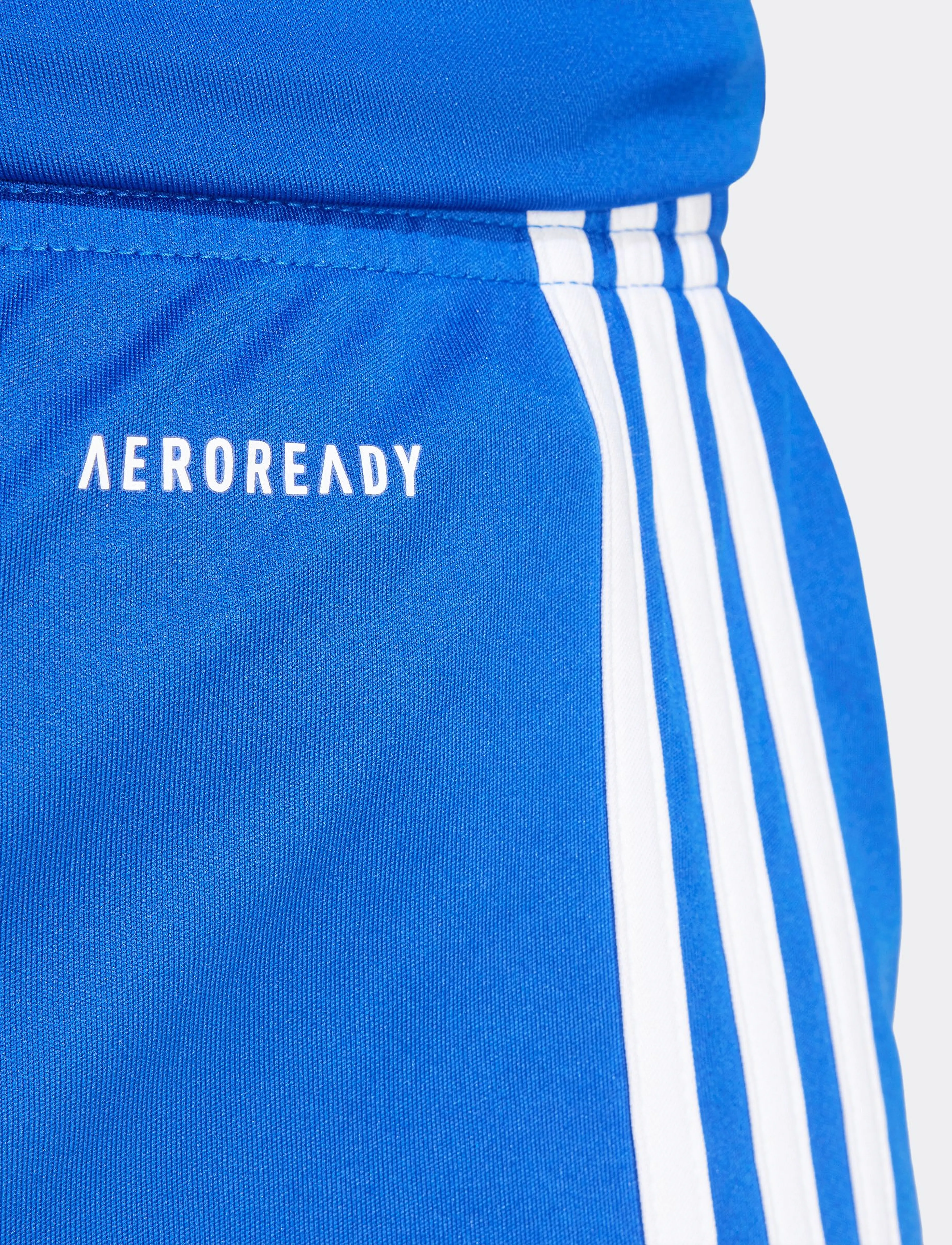 adidas Performance - SQUA25 SHO W - sporta šorti - royblu/white - 4