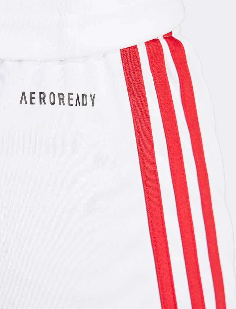 adidas Performance - SQUA25 SHO W - trainingsshorts - white/tepore - 3
