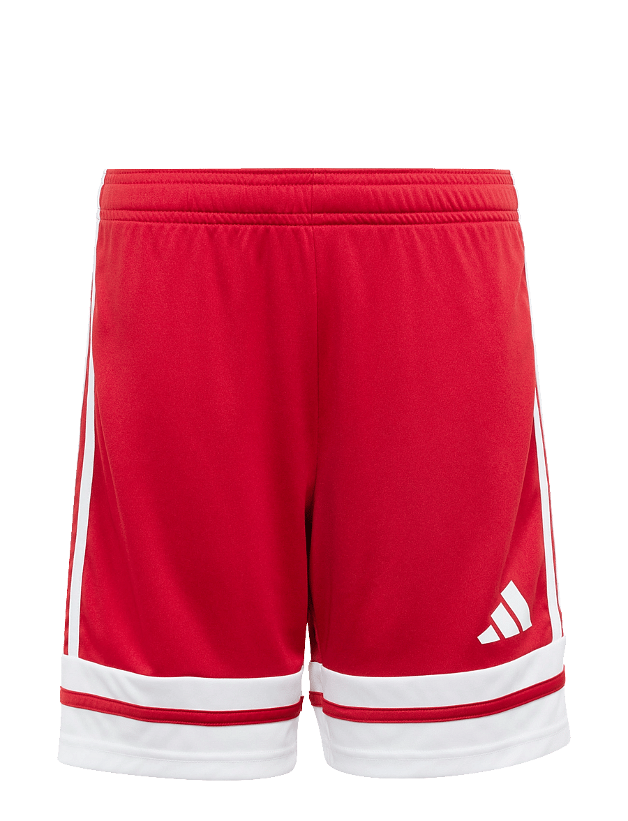 adidas Performance - SQUA25 SHO Y - urheilushortsit - tepore/white - 1