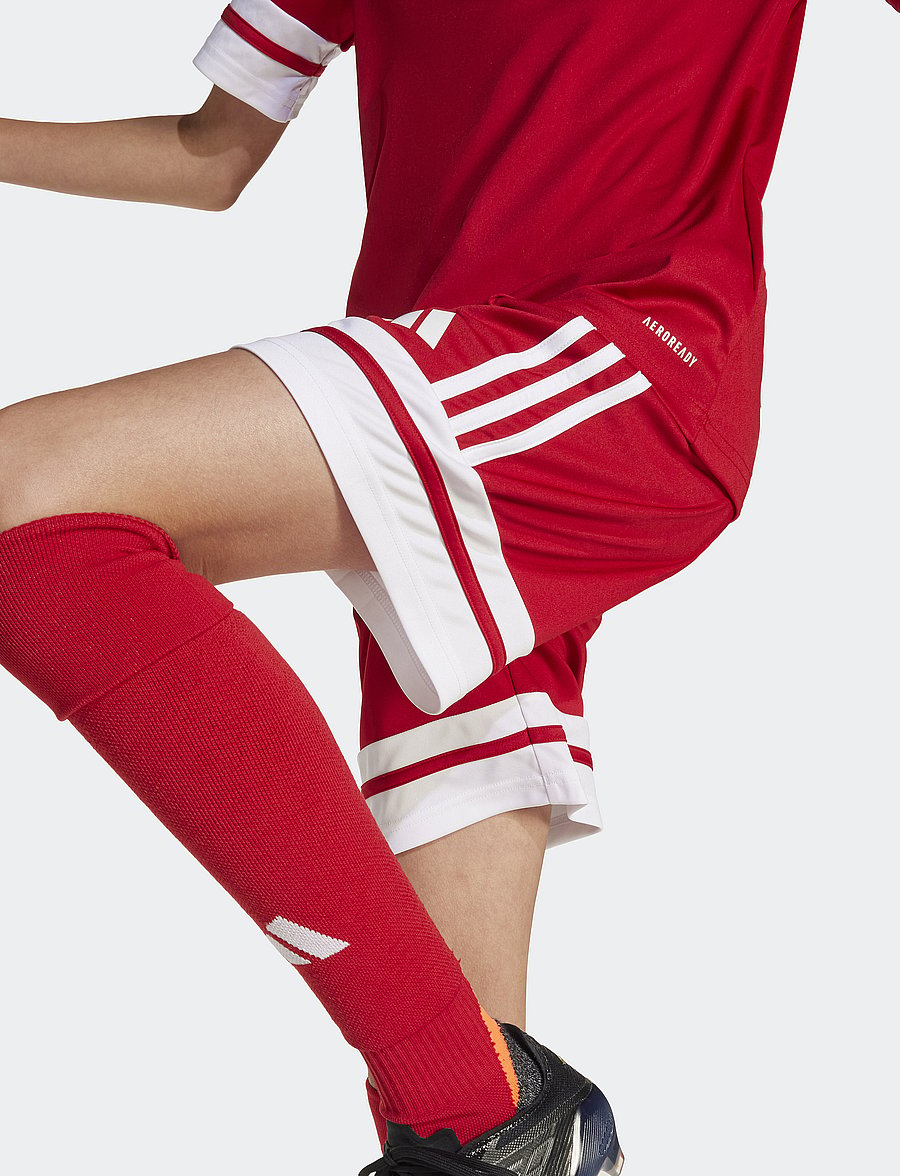 adidas Performance - SQUA25 SHO Y - urheilushortsit - tepore/white - 2
