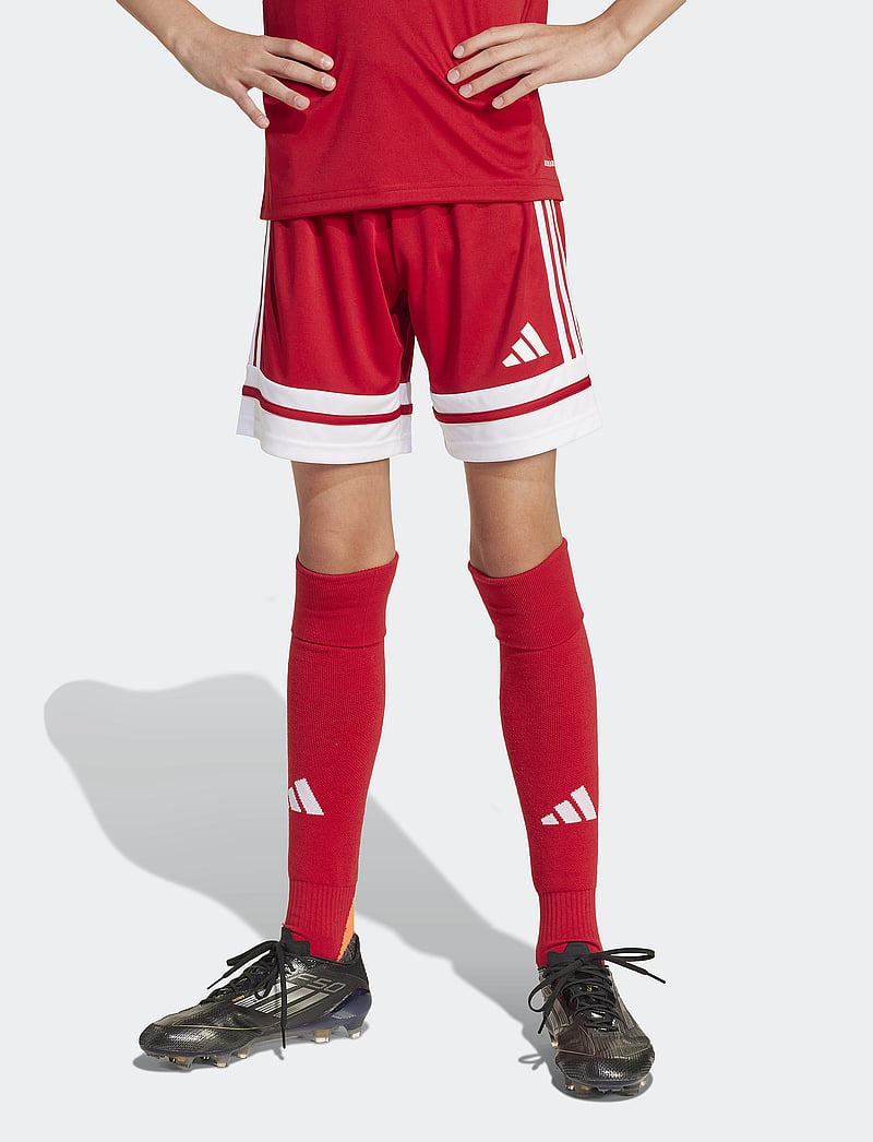 adidas Performance - SQUA25 SHO Y - sportimise püksid - tepore/white - 4