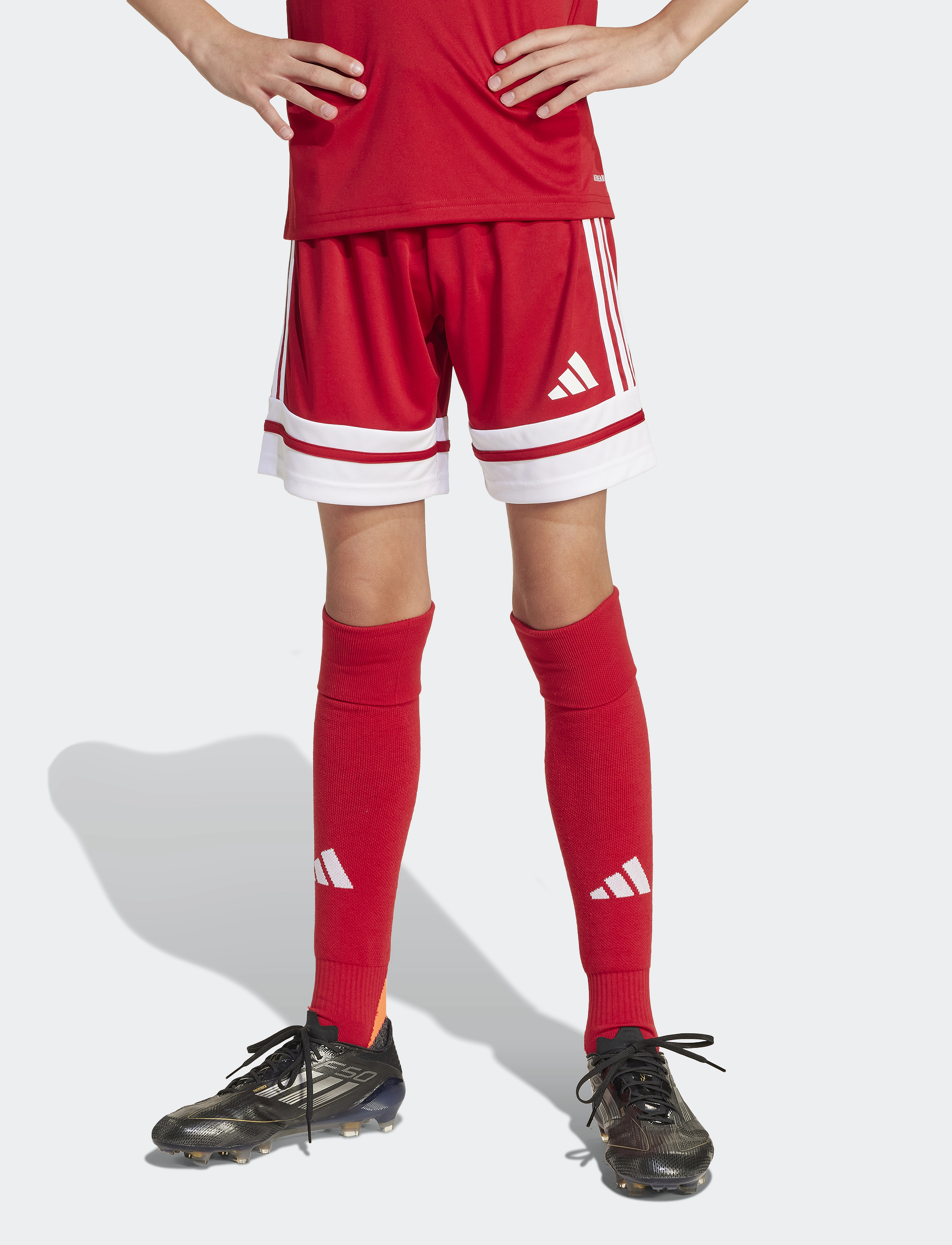 adidas Performance - SQUA25 SHO Y - urheilushortsit - tepore/white - 4
