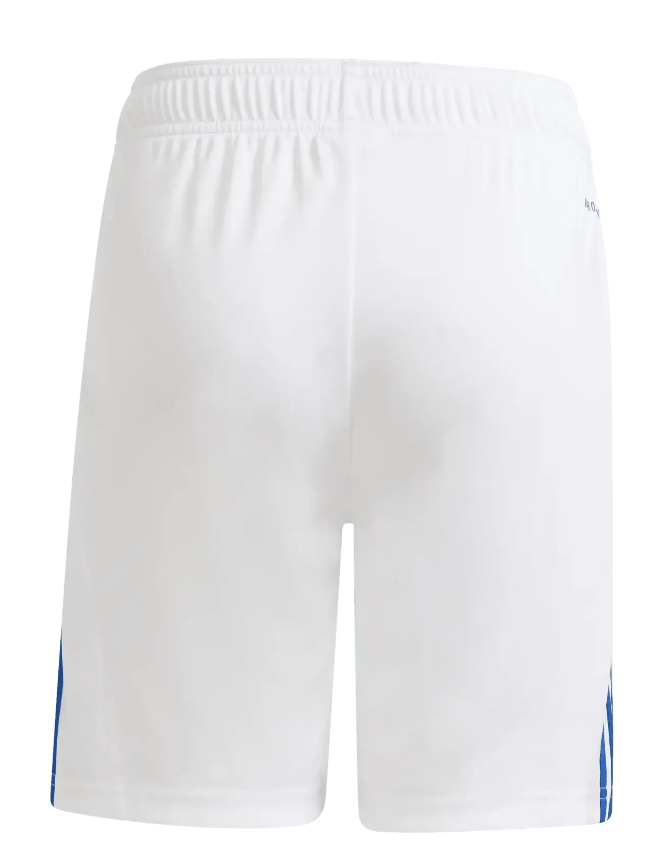 adidas Performance - FCK H SHO Y - sportsshorts - white/royblu - 1