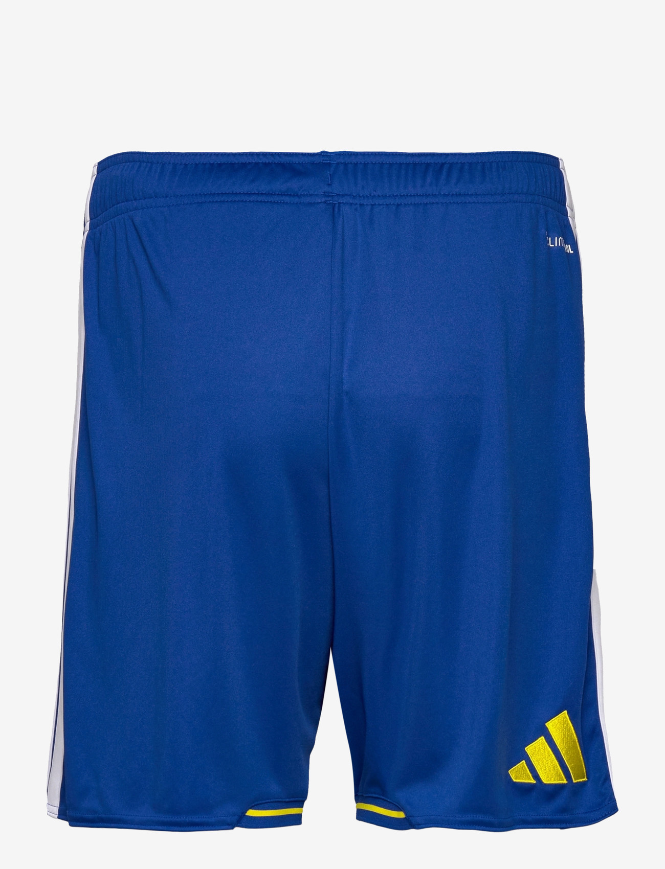 adidas Performance - SVFF H SHO - trainingsshorts - royblu - 1