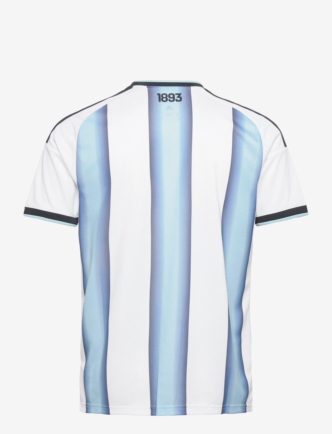 adidas Performance - AFA H JSY D - fodboldtrøjer - white/iceblu/ltblue - 1