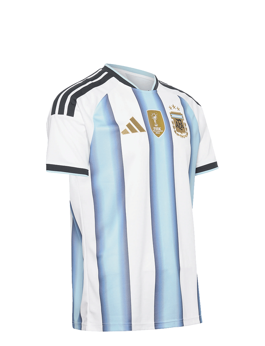 adidas Performance - AFA H JSY D - fotbollströjor - white/iceblu/ltblue - 3