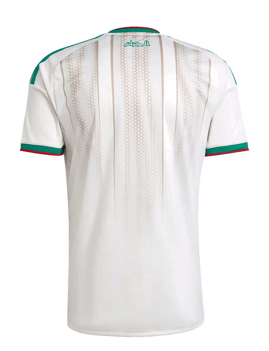 adidas Performance - ALGERIA FAF HOME JERSEY - fußballoberteile - cwhite - 2