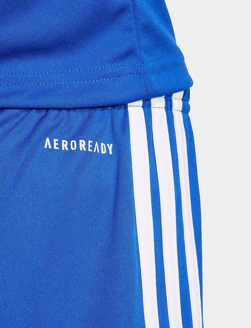adidas Performance - SQUA25 SHO Y - sportshorts - royblu/royblu/white - 5