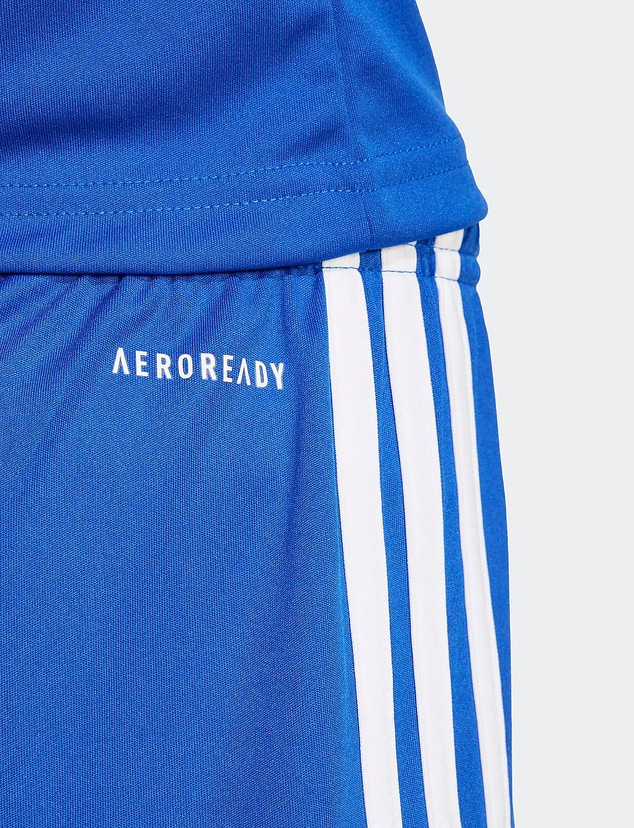 adidas Performance - SQUA25 SHO Y - shorts - royblu/royblu/white - 5
