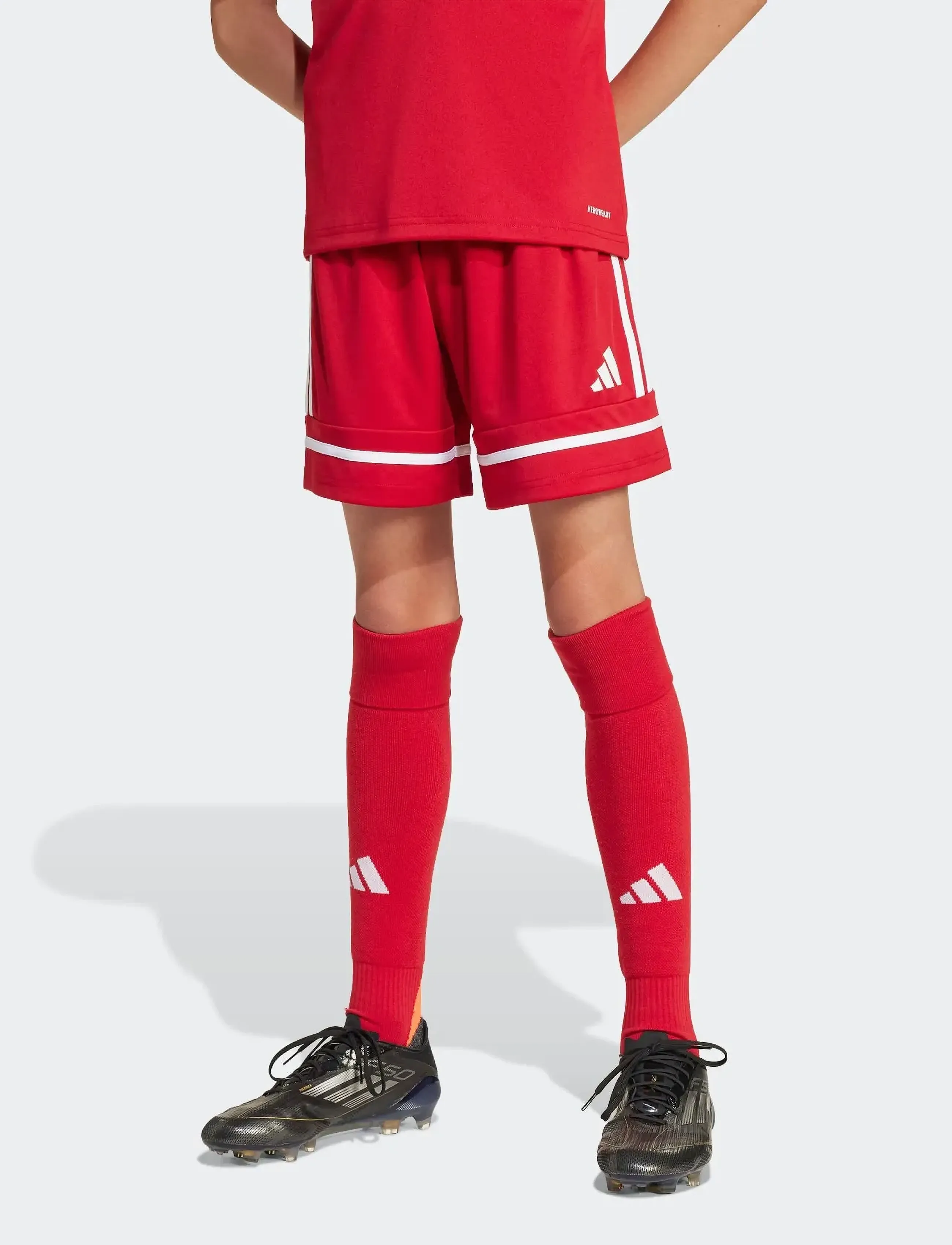 adidas Performance SQUA25 SHO Y - Shorts - TEPORE/TEPORE/WHITE / red