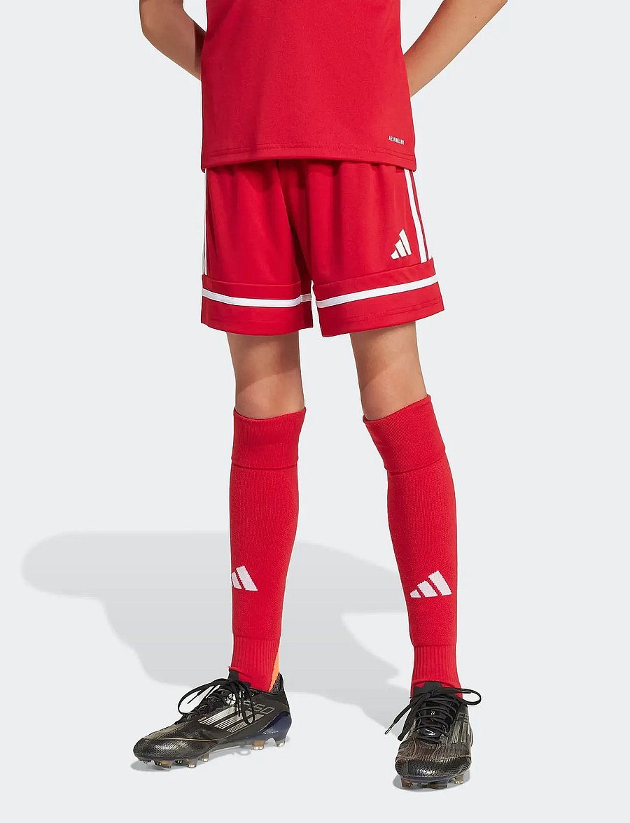 adidas Performance - SQUA25 SHO Y - urheilushortsit - tepore/tepore/white - 0