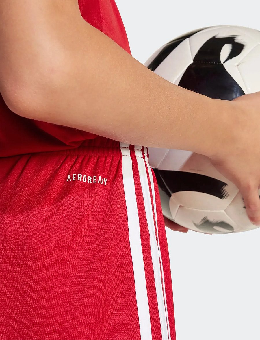 adidas Performance - SQUA25 SHO Y - urheilushortsit - tepore/tepore/white - 4