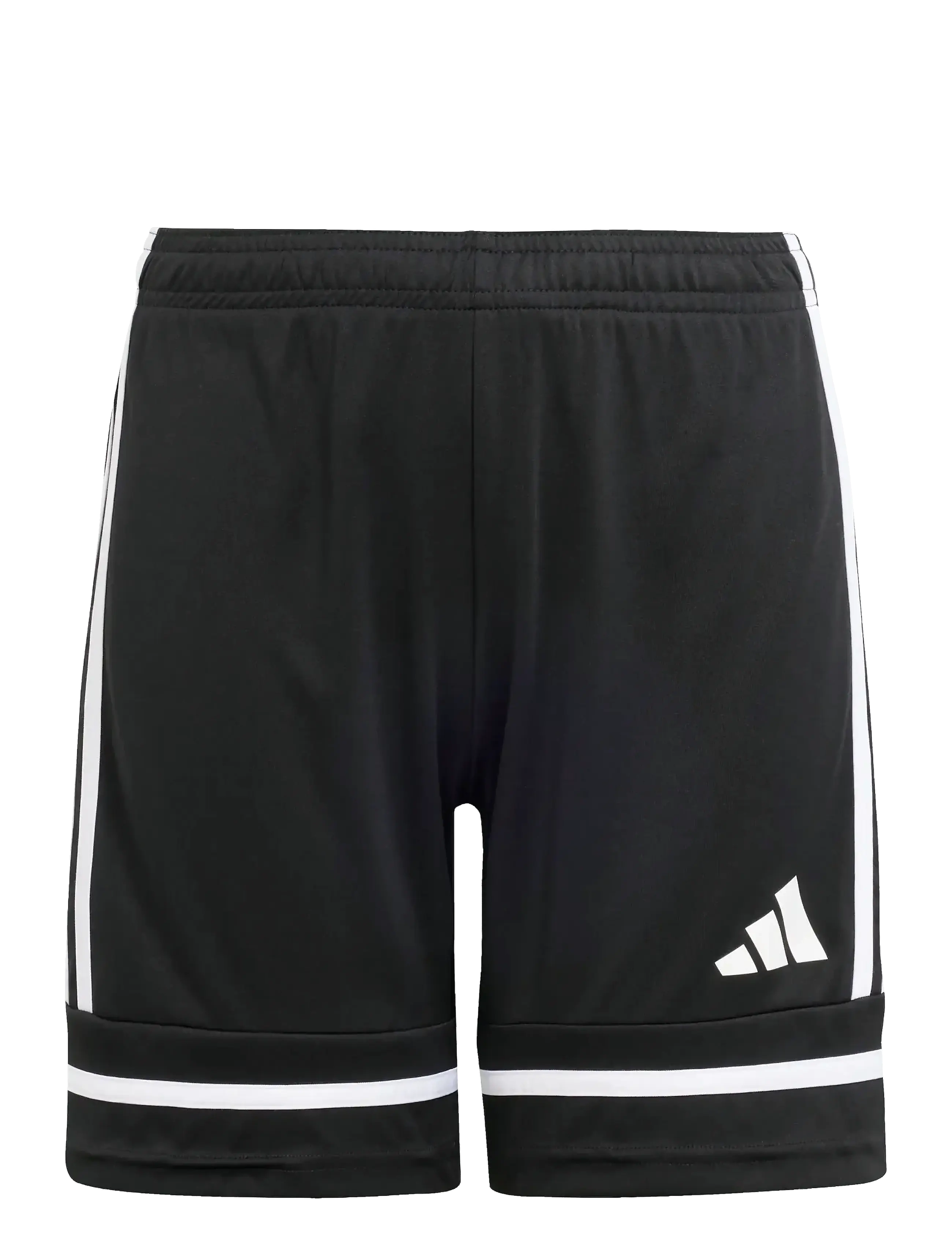 adidas Performance SQUA25 SHO Y - Shorts - BLACK/BLACK/WHITE / black