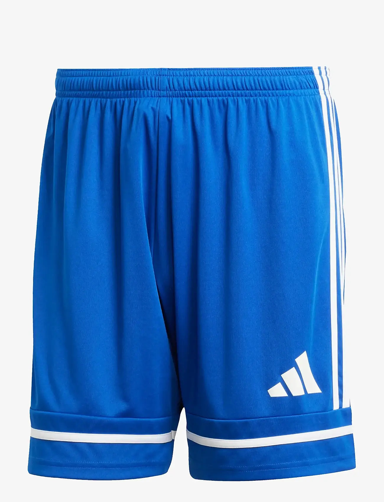 adidas Performance - SQUA25 SHO M - träningsshorts - royblu/royblu/white - 1