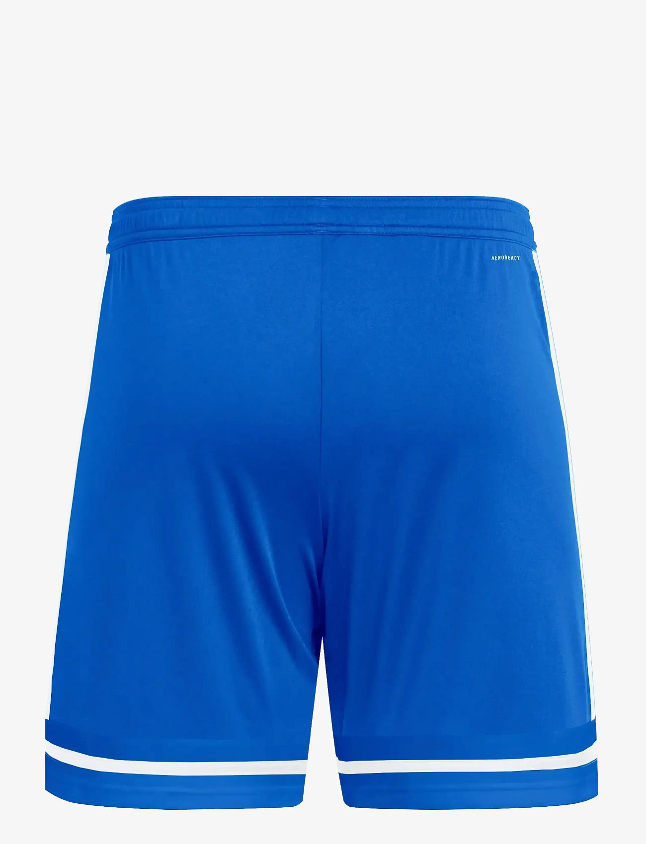 adidas Performance - SQUA25 SHO M - träningsshorts - royblu/royblu/white - 2