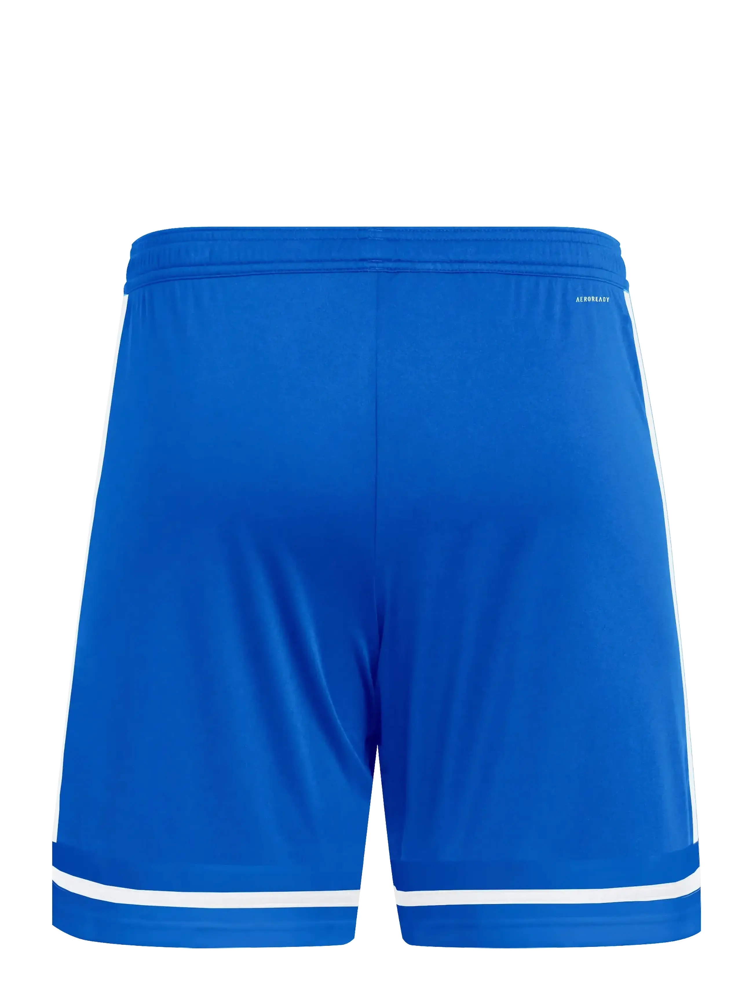 adidas Performance - SQUA25 SHO M - training shorts - royblu/royblu/white - 2