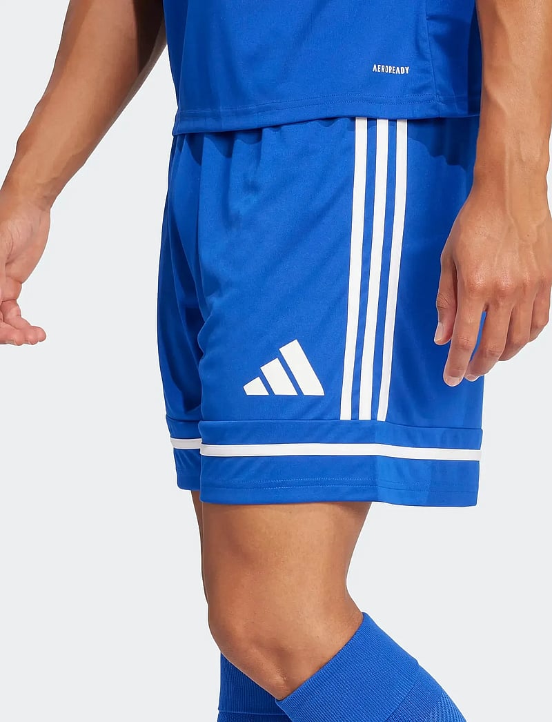 adidas Performance - SQUA25 SHO M - shorts - royblu/royblu/white - 3
