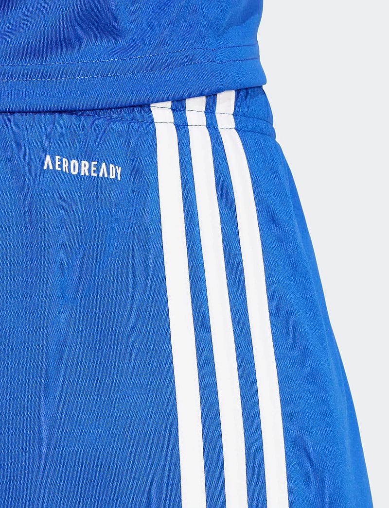 adidas Performance - SQUA25 SHO M - shorts - royblu/royblu/white - 4