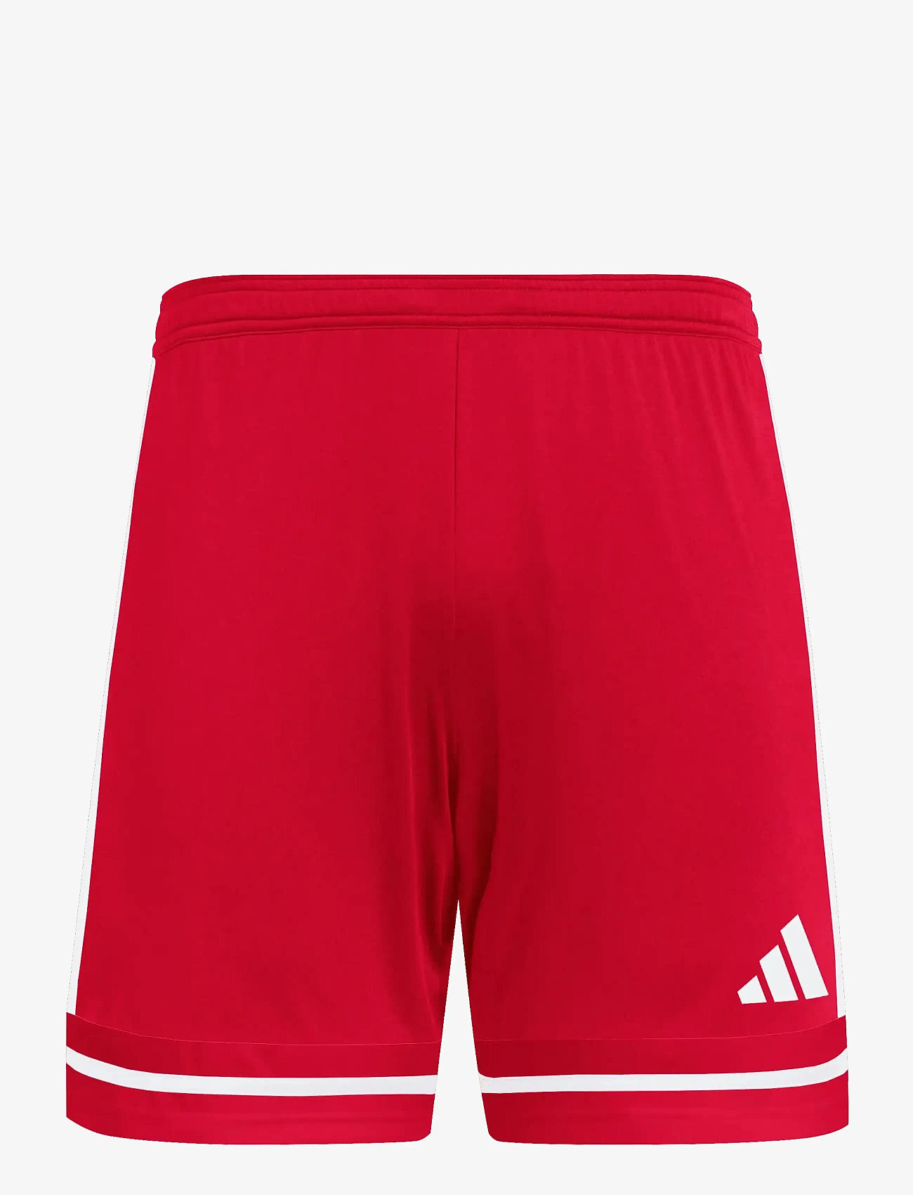 adidas Performance - SQUA25 SHO M - träningsshorts - tepore/tepore/white - 1